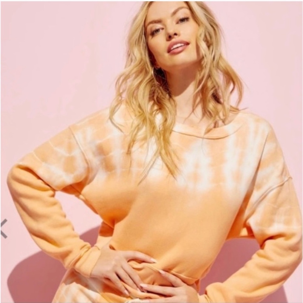 Wildfox Sweatshirt (XS)